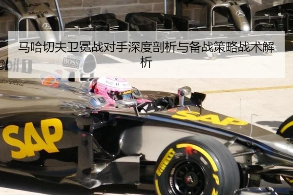 ma-ha-qie-fu-wei-mian-zhan-dui-shou-shen-du-pou-xi-yu-bei-zhan-ce-lve-zhan-shu-jie-xi-2-382.jpg