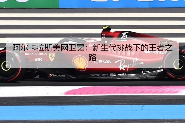 a-er-ka-la-si-mei-wang-wei-mian-xin-sheng-dai-tiao-zhan-xia-de-wang-zhe-zhi-lu-3-374.jpg