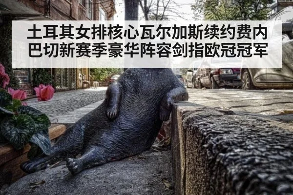 土耳其女排核心瓦尔加斯续约费内巴切新赛季豪华阵容剑指欧冠冠军